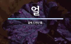 얼 뜻: 겉에 드러난 흠.
