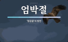 엄박절 뜻: ‘엉겁결’의 방언