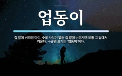 업동이 뜻: 집 앞에 버려진 아이. 주로 자식이 없는 집 앞에 버려지며 보통 그 집에서 키운다. ⇒규범
