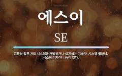 에스이 뜻: 컴퓨터 업무 처리 시스템을 개발하거나 설계하는 기술자. 시스템 플래너, 시스템 디자이너 등