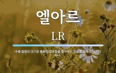 엘아르 뜻: 수화 음량의 크기로 통화의 양호함을 평가하는 전송 품질 측정 기준의 하나.