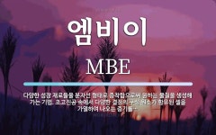엠비이 뜻: 다양한 성장 재료들을 분자선 형태로 증착함으로써 원하는 물질을 생성해 가는 기법. 초고진공