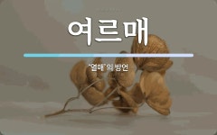 여르매 뜻: ‘열매’의 방언