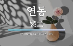 연동 뜻: 남색(男色) 파는 일을 직업으로 하는 남자.