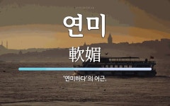 연미 뜻: ‘연미하다’의 어근.
