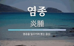 염종 뜻: 염증을 일으키며 붓는 증상.