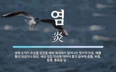 염 뜻: 생체 조직이 손상을 입었을 때에 체내에서 일어나는 방어적 반응. 예를 들어 외상이나 화상,