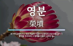 영분 뜻: 과거에 급제하거나 새로 벼슬한 사람이 그 향리의 조상 묘를 찾아가 풍악을 연주하며 그 영예