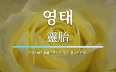 영태 뜻: 신령스러운 태라는 뜻으로, ‘정기’를 이르는 말.