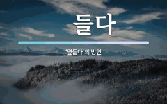 옢들다 뜻: ‘옆들다’의 방언