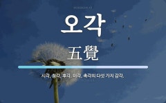 오각 뜻: 시각, 청각, 후각, 미각, 촉각의 다섯 가지 감각.