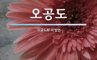 오공도 뜻: ‘오궁도화’의 방언