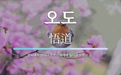 오도 뜻: 번뇌에서 벗어나 부처의 세계에 들어갈 수 있는 길.