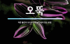 오뚝 뜻: 작은 물건이 도드라지게 높이 솟아 있는 모양.