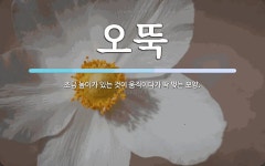 오뚝 뜻: 조금 높이가 있는 것이 움직이다가 딱 멎는 모양.