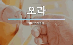 오라 뜻: ‘옳아’의 북한어.