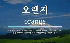 오랜지 뜻: 감귤 종류의 하나. 열매는 가죽질의 기름기를 함유한 껍질과 안쪽의 즙이 많은 과육으로 이루
