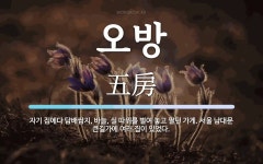 오방 뜻: 자기 집에다 담배쌈지, 바늘, 실 따위를 벌여 놓고 팔던 가게. 서울 남대문 큰길가에 여러