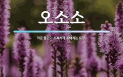 오소소 뜻: 작은 물건이 소복하게 쏟아지는 모양.