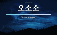오소소 뜻: ‘오스스’의 북한어.