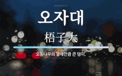 오자대 뜻: 오동나무의 열매만큼 큰 덩이.