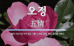 오정 뜻: 사람이 가진 다섯 가지 감정. 기쁨, 노여움, 슬픔, 욕심, 증오를 이른다.