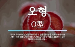 오형 뜻: 에이비오식(ABO式) 혈액형의 하나. 같은 혈액형을 비롯하여 에이형(A型), 비형(B型),