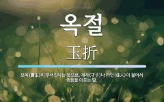 옥절 뜻: 보옥(寶玉)이 부서진다는 뜻으로, 재자(才子)나 가인(佳人)이 젊어서 죽음을 이르는 말.