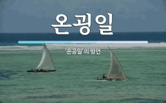 온굉일 뜻: ‘온공일’의 방언