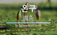 온구 뜻: 아픈 곳을 뜨겁게 뜸질함. 또는 그런 치료법.