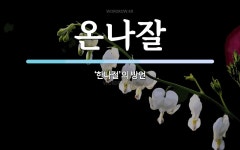 온나잘 뜻: ‘한나절’의 방언