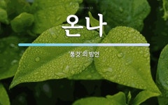 온나 뜻: ‘통것’의 방언