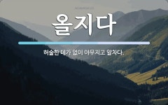 올지다 뜻: 허술한 데가 없이 야무지고 알차다.