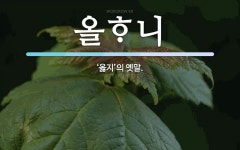 올니 뜻: ‘옳지’의 옛말. 올니 뜻: ‘옳지’의 옛말.