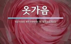 옷가음 뜻: ‘옷감’의 방언. 제주 지역에서는 ‘옷\ue1a7음’으로도 적는다.