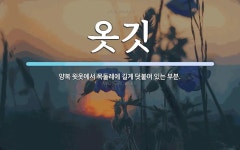 옷깃 뜻: 양복 윗옷에서 목둘레에 길게 덧붙여 있는 부분.