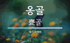 옹골 뜻: ‘옹기’의 방언