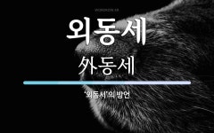 외동세 뜻: ‘외동서’의 방언