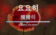 요요히 뜻: 뒤숭숭하고 어수선하게.