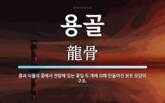 용골 뜻: 콩과 식물의 꽃에서 전방에 있는 꽃잎 두 개에 의해 만들어진 보트 모양의 구조.