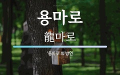 용마로 뜻: ‘용마루’의 방언