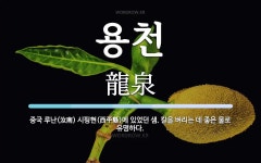 용천 뜻: 중국 루난(汝南) 시핑현(西平縣)에 있었던 샘. 칼을 벼리는 데 좋은 물로 유명하다.