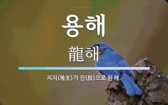 용해 뜻: 지지(地支)가 진(辰)으로 된 해.