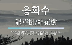 용화수 뜻: 미륵보살이 성불하여 그 밑에서 용화삼회를 여는 나무. 꽃가지는 용머리와 같고 나뭇가지는 보