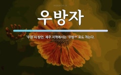 우방자 뜻: ‘우엉’의 방언. 제주 지역에서는 ‘우방\uf1fc’로도 적는다.