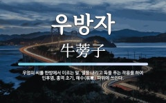 우방자 뜻: 우엉의 씨를 한방에서 이르는 말. 열을 내리고 독을 푸는 작용을 하여 인후염, 홍역 초기,
