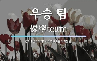 우승 팀 뜻: 경기나 경주 따위에서 이겨 첫째를 차지한 팀.