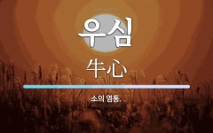 우심 뜻: 소의 염통.