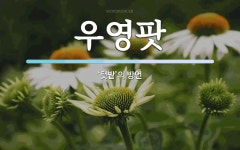 우영팟 뜻: ‘텃밭’의 방언