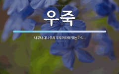 우죽 뜻: 나무나 대나무의 우두머리에 있는 가지.